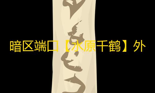 暗区端囗【水原千鹤】外挂